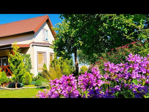 Как КРАСИВО ОТДЕЛИТЬ ОГОРОД от ЗОНЫ ОТДЫХА 🏠 🌿Сам Себе Дизайнер. Мой Опыт. #ландшафтныйдизайн