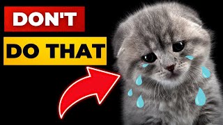10 Things Cats HATE The MOST | Cat Behaviors to Know | Cat Videos | Funny Animals by Animalistic 4K 9,498 views 1 year ago 8 minutes, 10 seconds