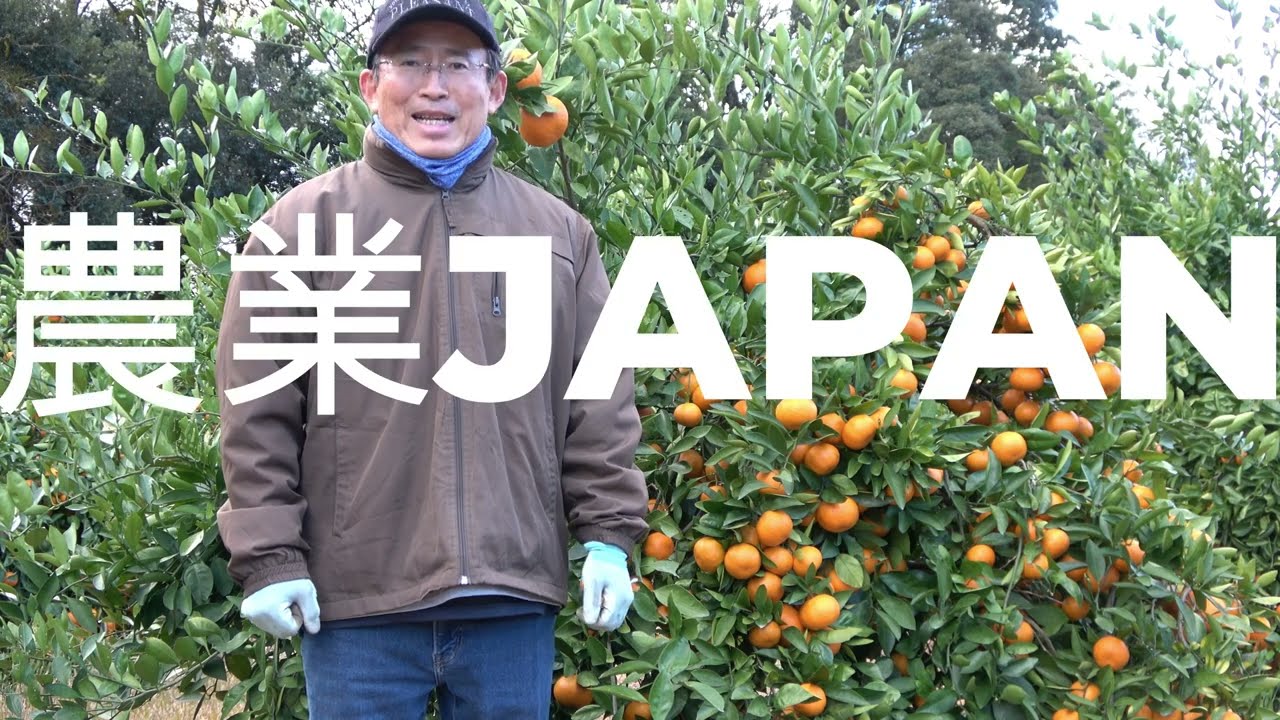 来年に向けて🍊 - YouTube