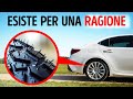 Fatti Curiosi Che Ti Porteranno su un Ottovolante Mentale