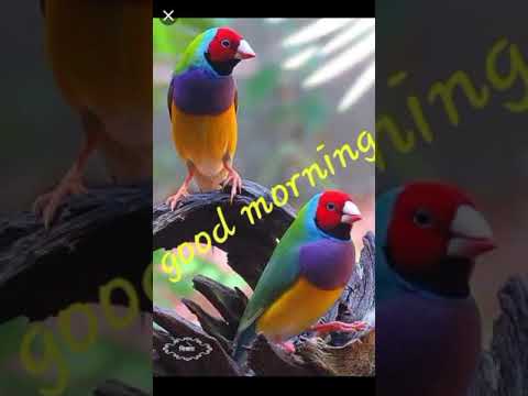 new-best-status-in-👉👉-saawan,-aaya,-badal,-saajan-ka-ghar,-1994