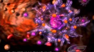 Blood Cell Quantification - Medical & Scientific Video Production