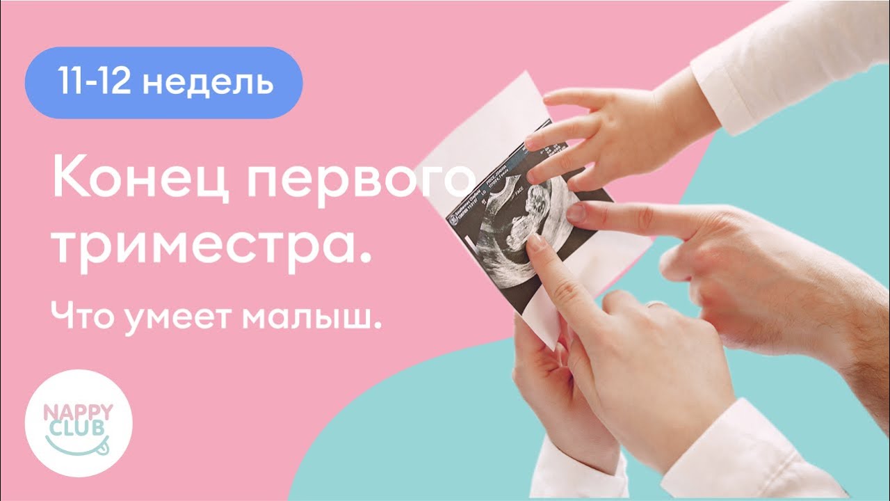 11-12 недель. Конец первого триместра. Что умеет малыш.