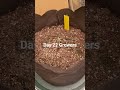growing with me