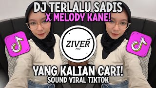 DJ TERLALU SADIS X MASHUP MELODY MENGKANE VIRAL TIKTOK YANG KALIAN CARI!