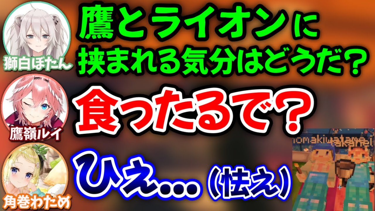 寝てる間に肉食動物に囲まれ、死を悟る羊【獅白ぼたん,角巻わため,鷹嶺ルイ/ホロライブ/切り抜き】