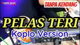 tanpa kendang ~ pelas teri (cover) | koplo version