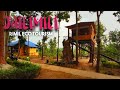 Rimil eco tourism lodge   best tourism lodge in jhilimili  resort in dense forest