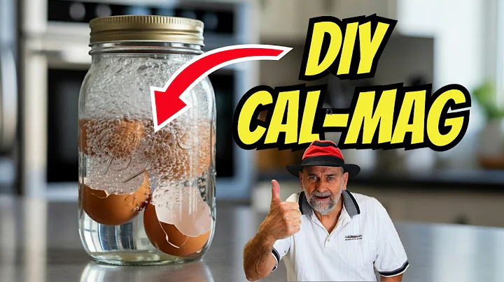 Make Your OWN  Calcium & Magnesium (CalMag) Fertilizer Solution