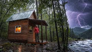 A Violent Storm Hit My Cozy Survival Cabin… Bear Cub Sighting