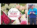 Hydrangea worryfree ruby snow  the best panicle hydrangea that david has ever seen  