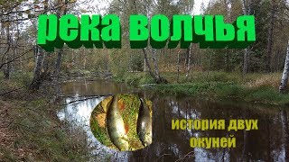 Река Волчья