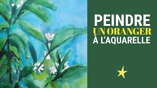 Peindre des fleurs d&#39;oranger à l&#39;aquarelle - MOYEN