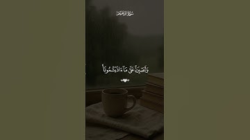 سورة ابراهيم بصوت القارئ فارس عباد 💙