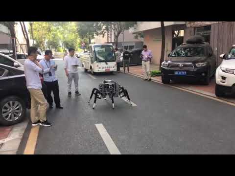 Hexapod Walking Robot Spider Xi3 First  Road Test 2