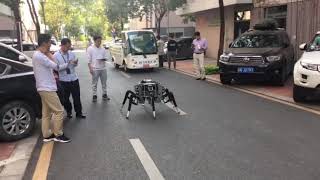 Hexapod Walking Robot Spider Xi3 First Road Test 2