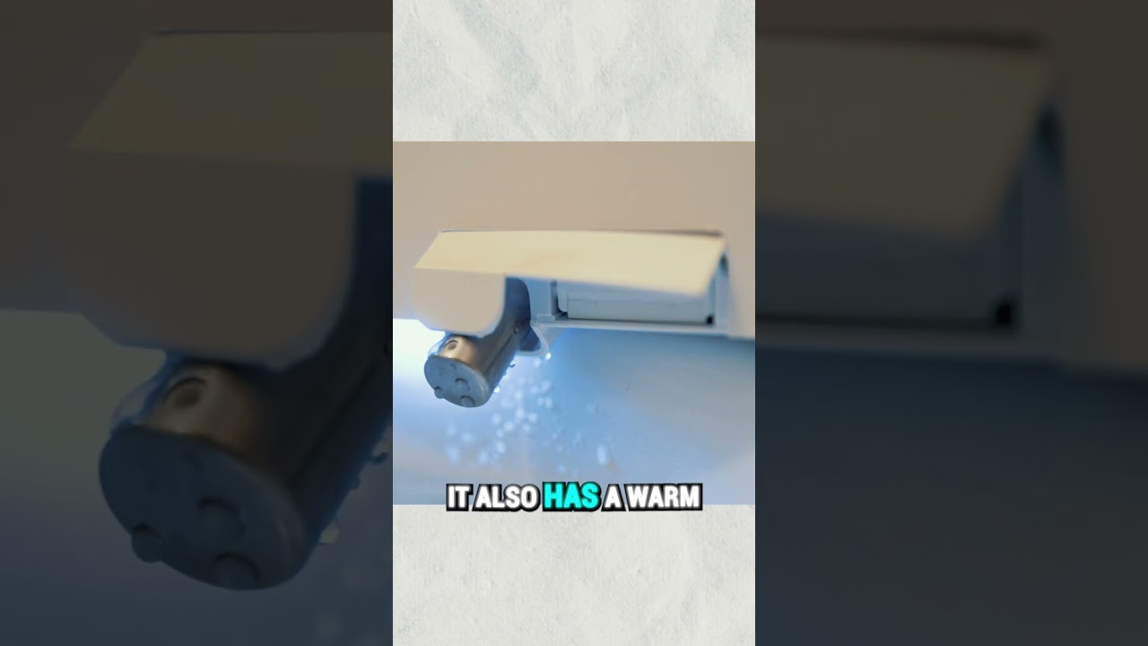 Why So Many People Are Excited for the BidetKing Crown | BidetKing.com