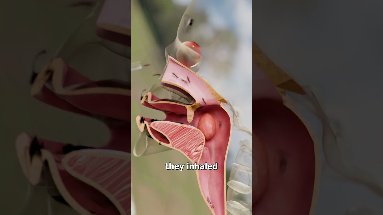 They Snorted Fire Ants 