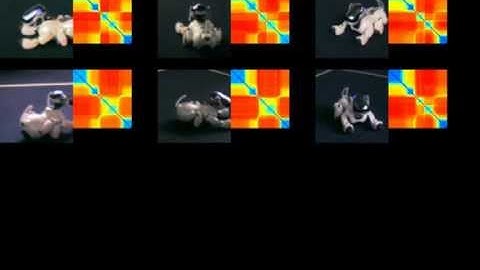 Temporal Self-Similarity Maps for Multi-View Action Recognition