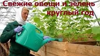 Свежие овощи и зелень круглый год(http://krestynin.ru Посмотрев это видео вы узнаете как выращивать свежие овощи и зелень круглый год Покупайте..., 2015-06-09T05:15:40.000Z)