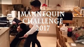 NEW YEAR 2017 Mannequin challenge