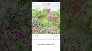 Online #gardendesign and #planting instructions #landscapedesign