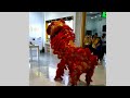 Chinese New Year 2023 Dragon Dance | Bacolaodiat Festival
