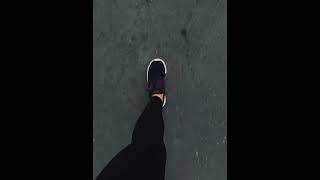 IMG 7533