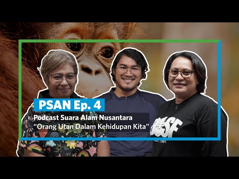 PSAN #4: Orang Utan Dalam Kehidupan Kita