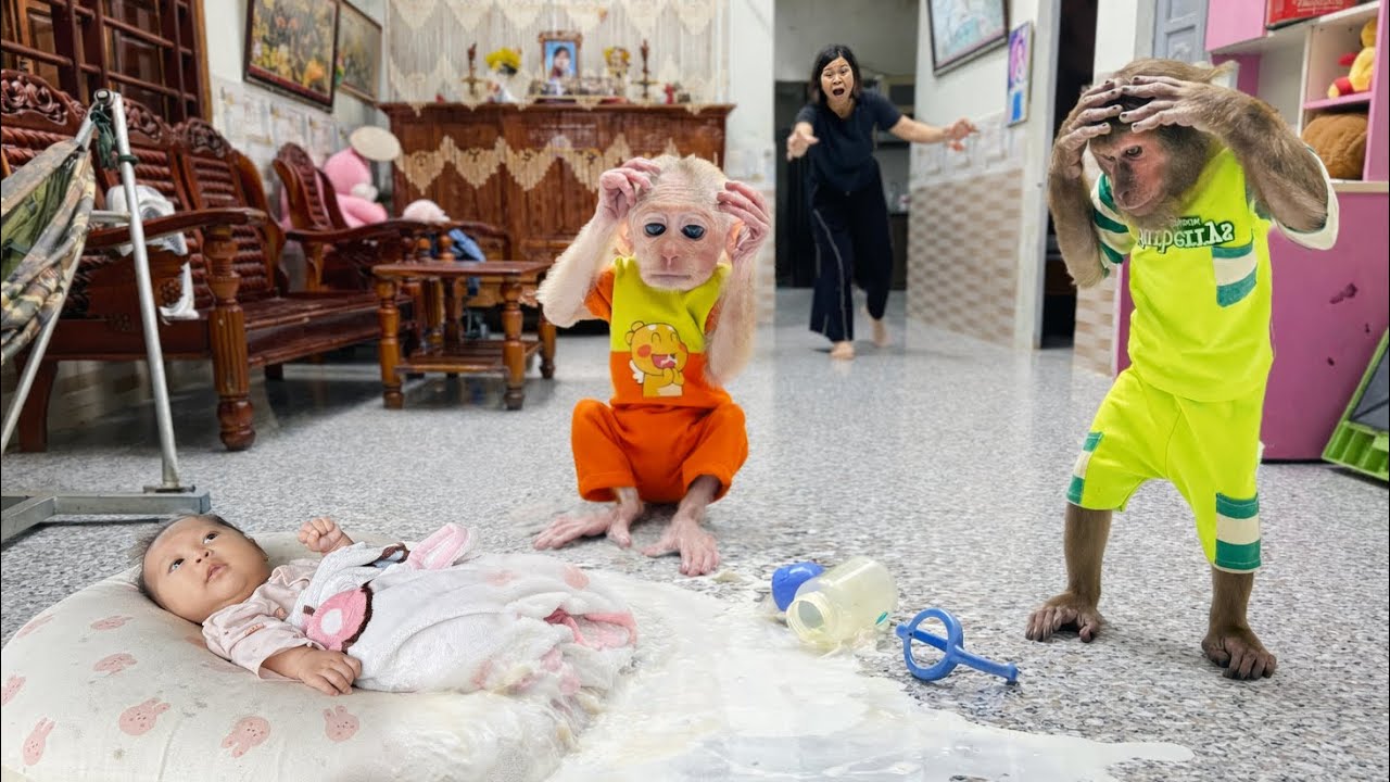 CUTIS & Buem Spill Milk on Baby’s Pillow 🍼 || The Moment Mom Finds Out😯