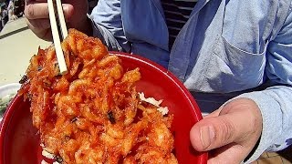 【めし動画】 由比漁港　浜のかきあげや　桜えびのかきあげ丼を食べてきた