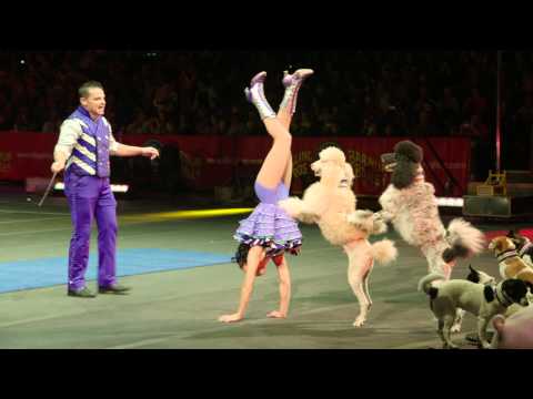 Video: Închiderea Definitivă A Circului Mondial Ringling Bros