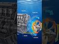 Marine Engineering Compilation That Will Blow Your Mind 🌊⚙️ #marineengineering