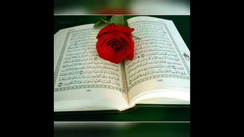 أجمل الصوت القرآن..سورة الناس