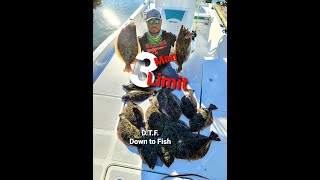 Galveston Flounder Run
