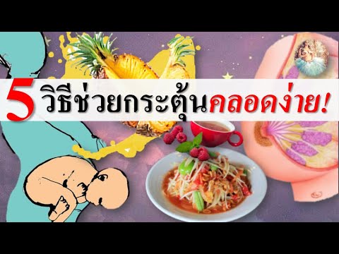 วีดีโอ: การคลอดบุตร: วิธีฉลาดในการอยู่รอดได้น้อยลง