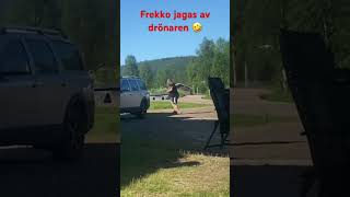Det Är Hos Frekko Det Händer