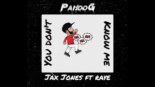 Jax Jones ft. RAYE - You Don't Know Me (Pando G Remix)