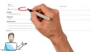 Send Amadeus Air Files To Viselio