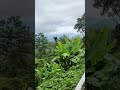 Pemandangan Dari Pekan Nabalu Sabah Kotakinabalu Pemandangan Dari Pekan Nabalu Sabah Kotakinabalu
