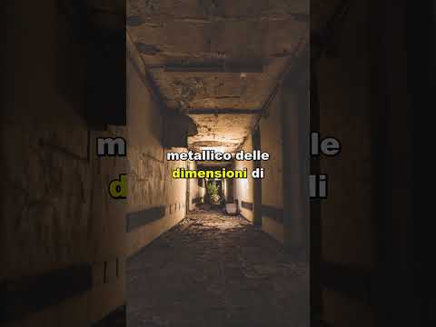 Video Sogna 3 figure attorno al letto. 2 settimane dopo è morta.