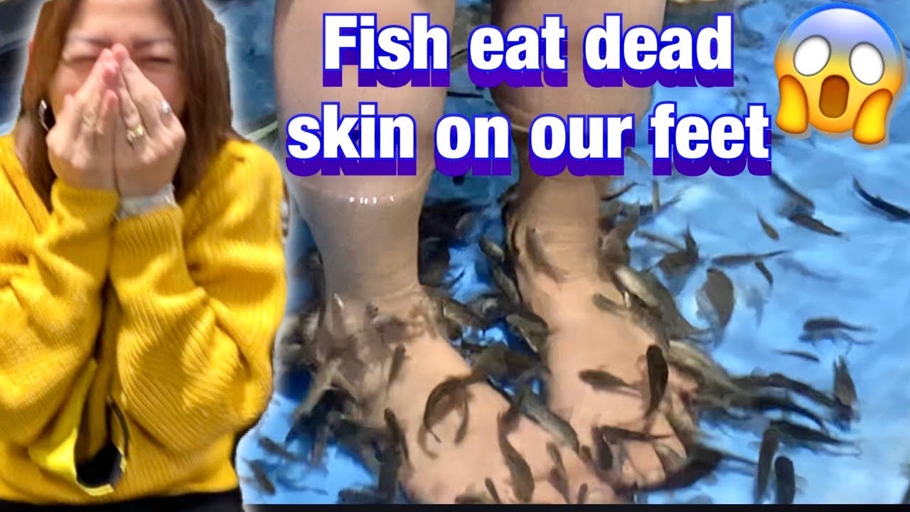 FISH PEDICURE IN OKINAWA JAPAN 2023 YouTube