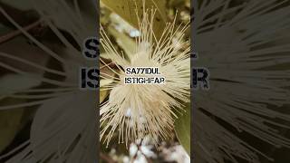 Sayyidul Istighfar  Penghulu Istighfar