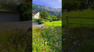 Download Lagu #alam #nature #pemandangan #relax MP3