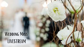 Daniella Vo & Sebastian Gutierrez  Wedding ~ 2pm ~ June 20, 2026 ~ ST. NICHOLAS CHURCH