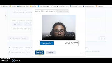 Record a video/audio at brightspace