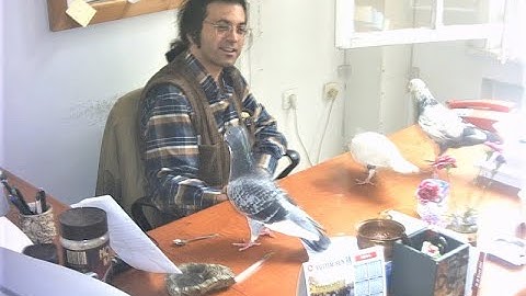 Bilgisayar Programlama Ders 4: Dizilerde ileri düzey işlemleri öğreniyoruz