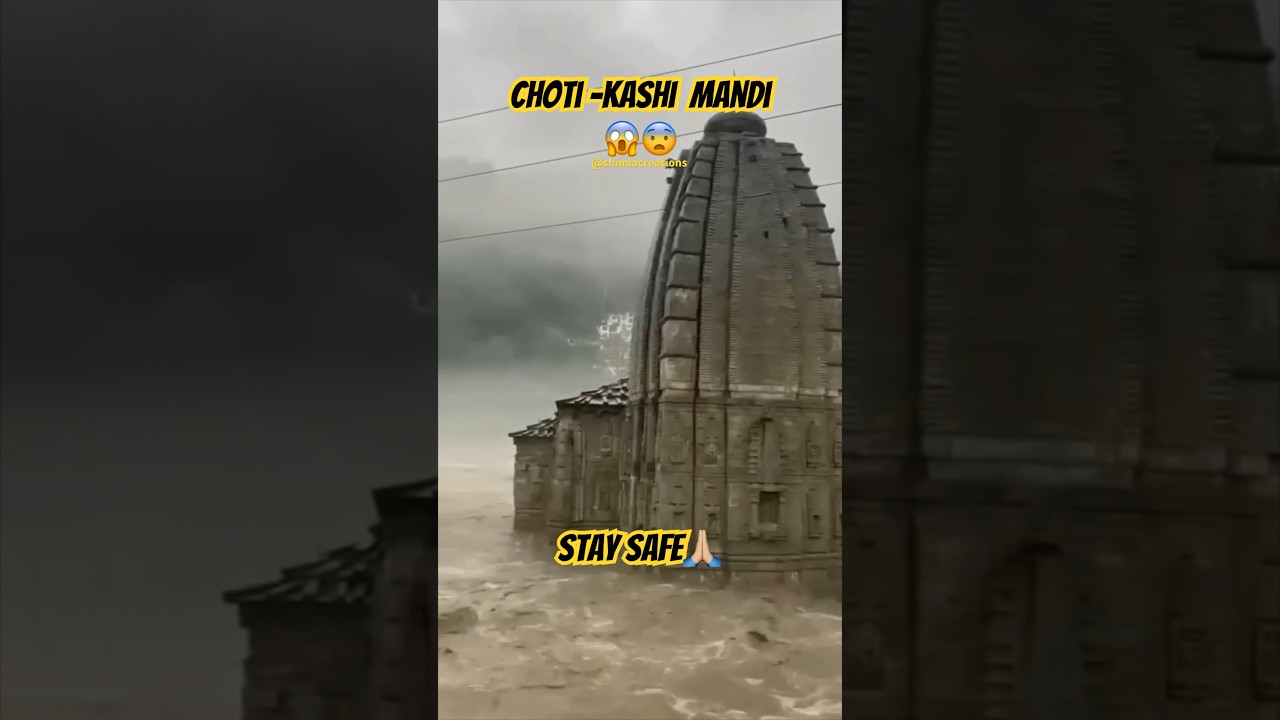 Choti-Kashi Mandi😱😨 
