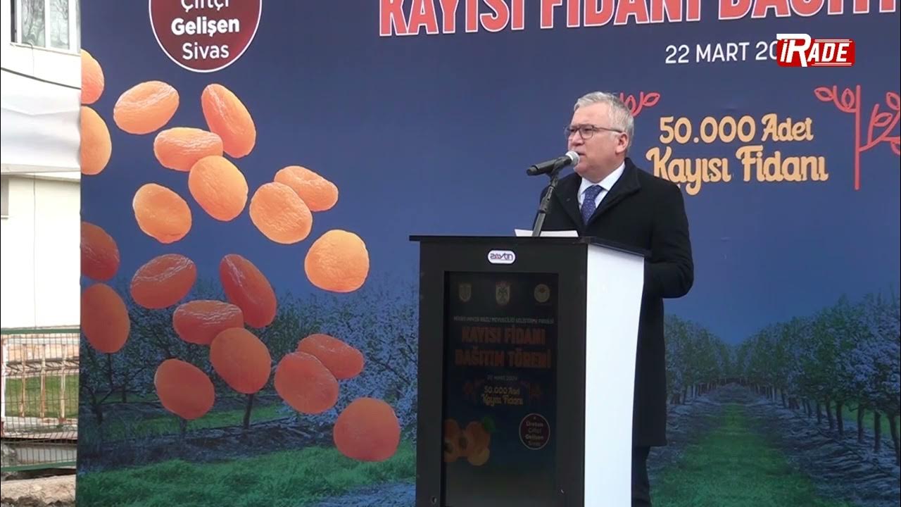 Sivas'ta Üreticilere 50 Bin Adet Kayısı Fidanı Dağıtıldı