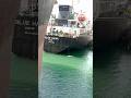 NEAR MY SHIP #ship #seafarerlife #trendingshorts #life #merchantnavy #travel #travelvlog #shiplovers